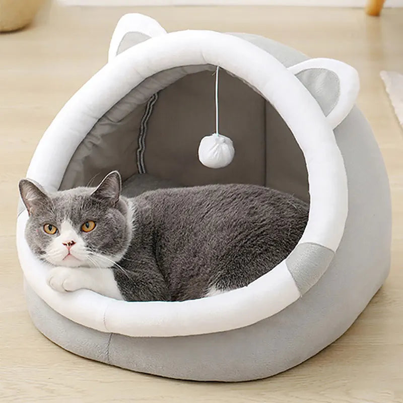 Cute Pet Bed for Indoor