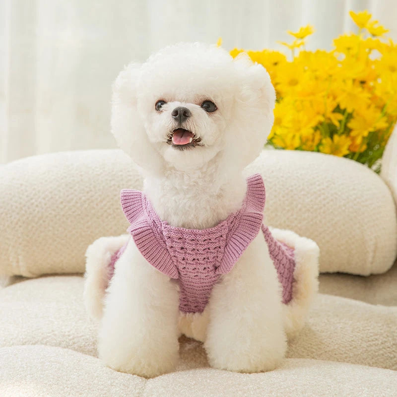 Hollow Knitting Pet warm Dress