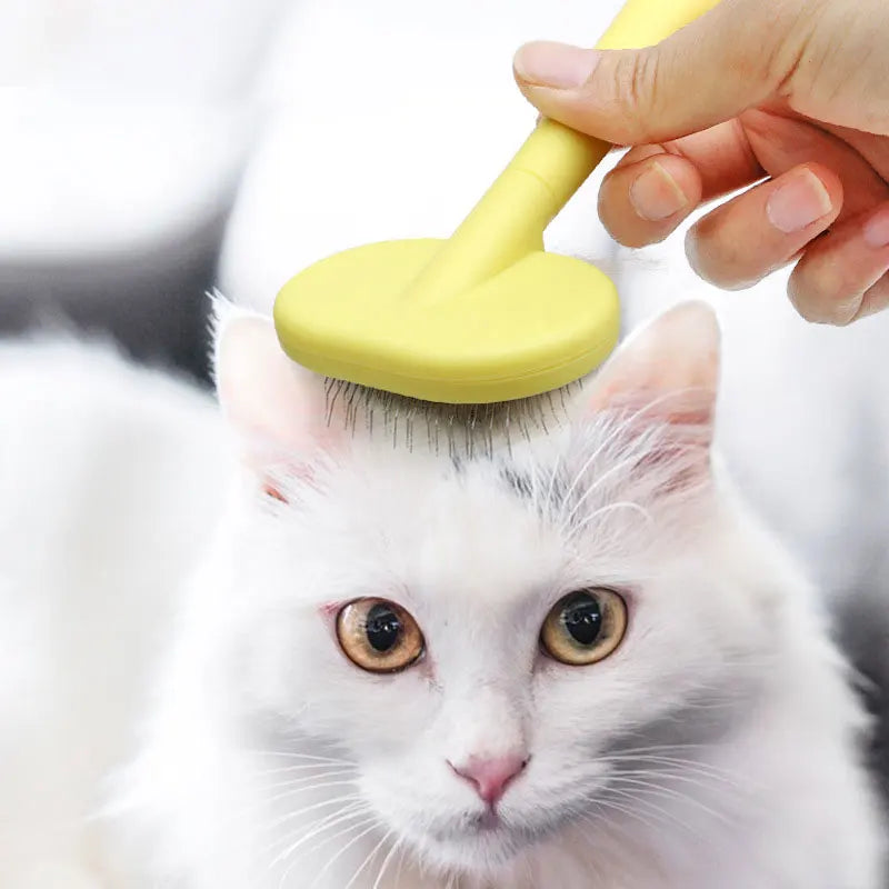Pet Brush Comb