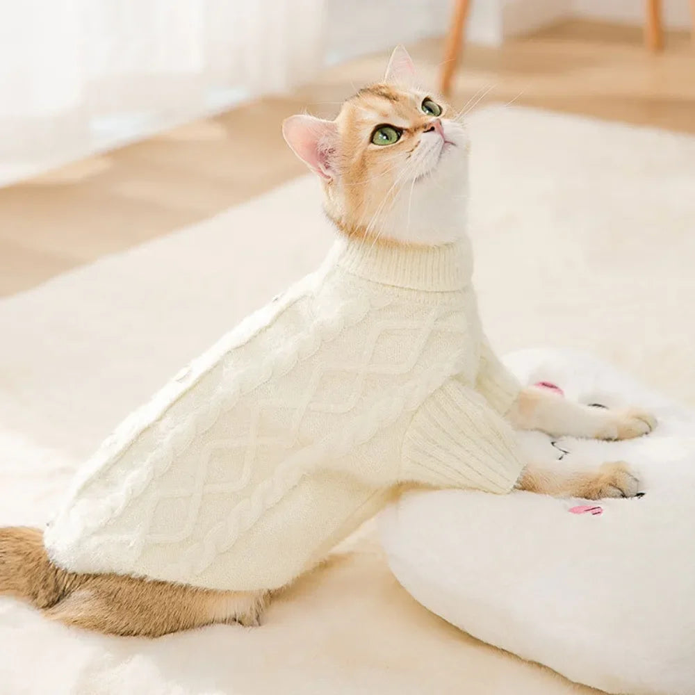 Autumn and Winter Warm Sweaters
