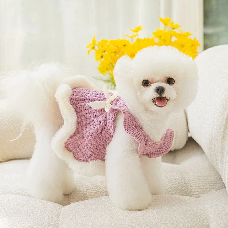 Hollow Knitting Pet warm Dress