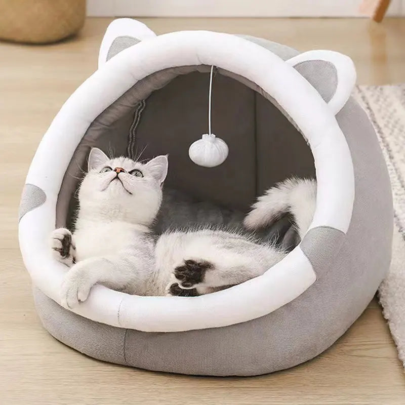 Cute Pet Bed for Indoor