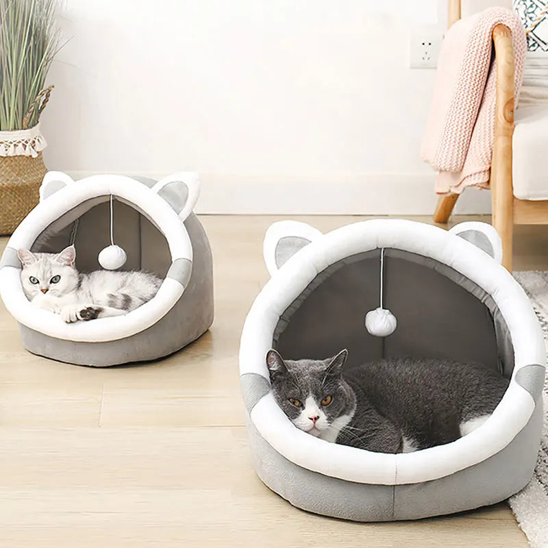 Cute Pet Bed for Indoor