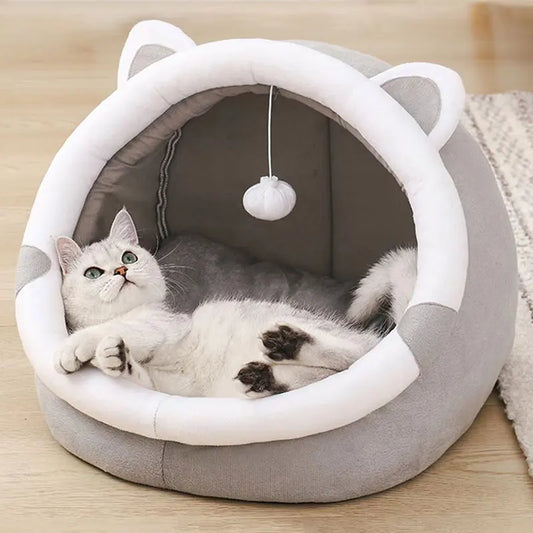 Cute Pet Bed for Indoor